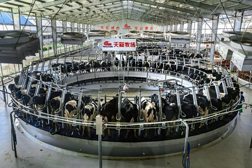国产工业机器人积极构筑新型工业化之基(图10)