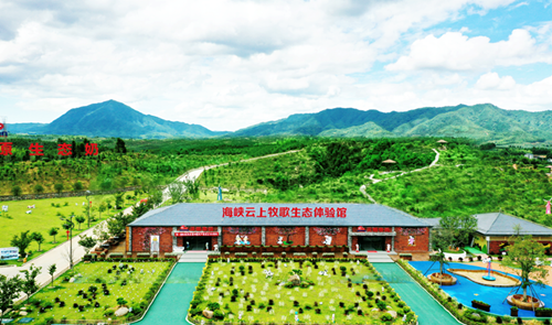 国产工业机器人积极构筑新型工业化之基(图13)