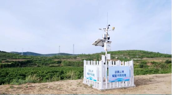 从“一朵花”数字化旅程看平阴玫瑰产业五年“蝶变”(图2)