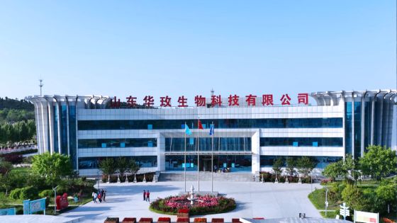 从“一朵花”数字化旅程看平阴玫瑰产业五年“蝶变”(图3)