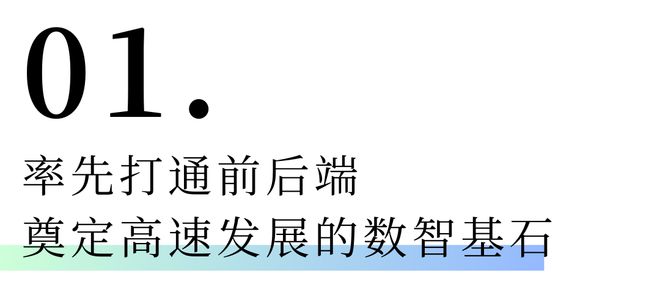 从观念的胜出到卓越的实践帅太家居的数字化突围(图3)