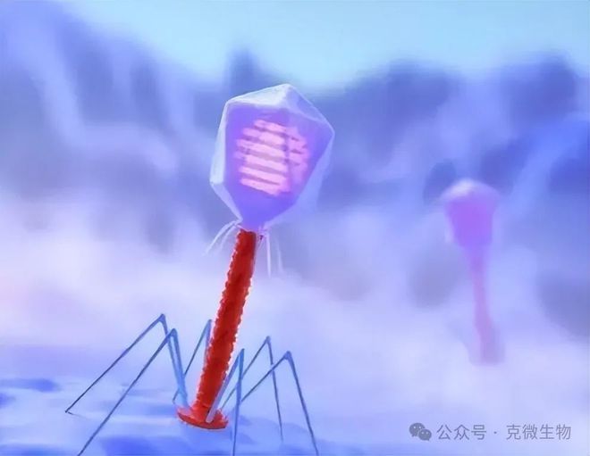 星空体育网站：大型发酵工厂种子罐噬菌体污染不再怕这些策略超有效(图2)