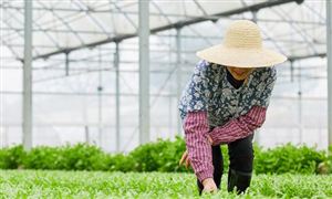 星空体育网站：中国工业机器人行业发展现状及前景分析(图4)