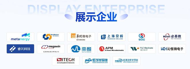 专家与行业高层齐聚2024电机产业链交流会探讨技术创新与应用(图1)