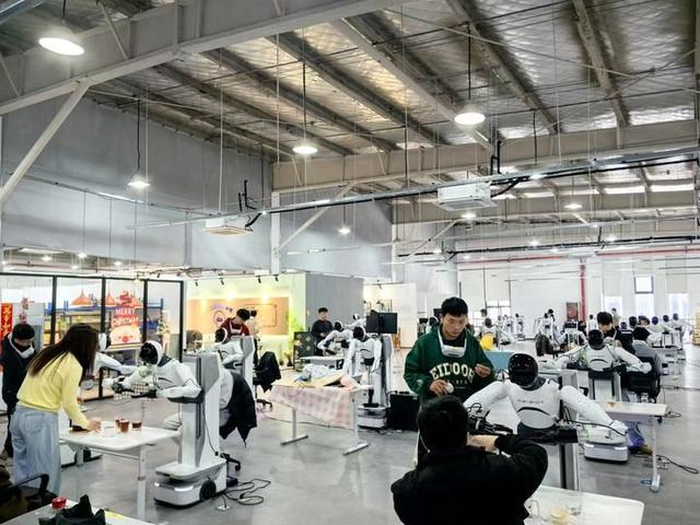 人形机器人加速进化新华深读(图12)