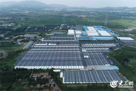 星空体育:七河生物:以智慧工厂重塑香菇产业引领农业数字化变革(图1)