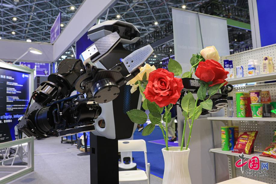 星空体育：是展品也是助手进博会上机器人组团“炫技”(图6)
