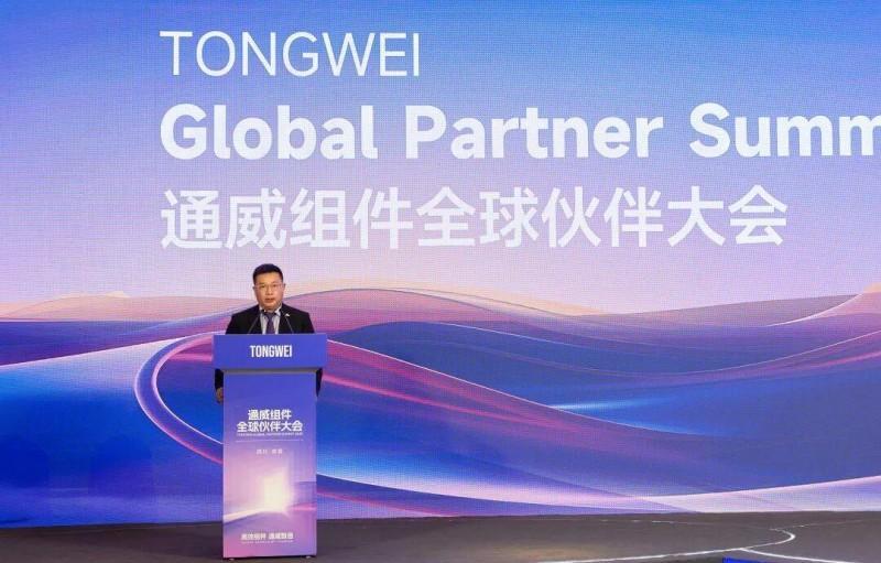 2025通威高效组件全球合作伙伴联合发展大会国内分论坛成功举行(图4)