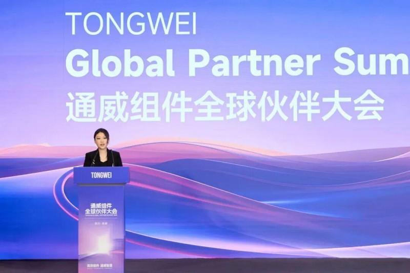 2025通威高效组件全球合作伙伴联合发展大会国内分论坛成功举行(图5)