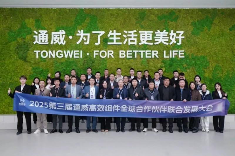 2025通威高效组件全球合作伙伴联合发展大会国内分论坛成功举行(图15)