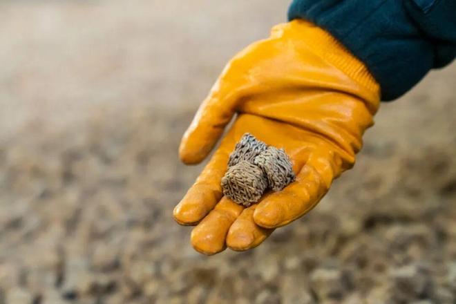 巴斯夫“黑科技”化废为宝尼龙6循环经济成现实(图5)