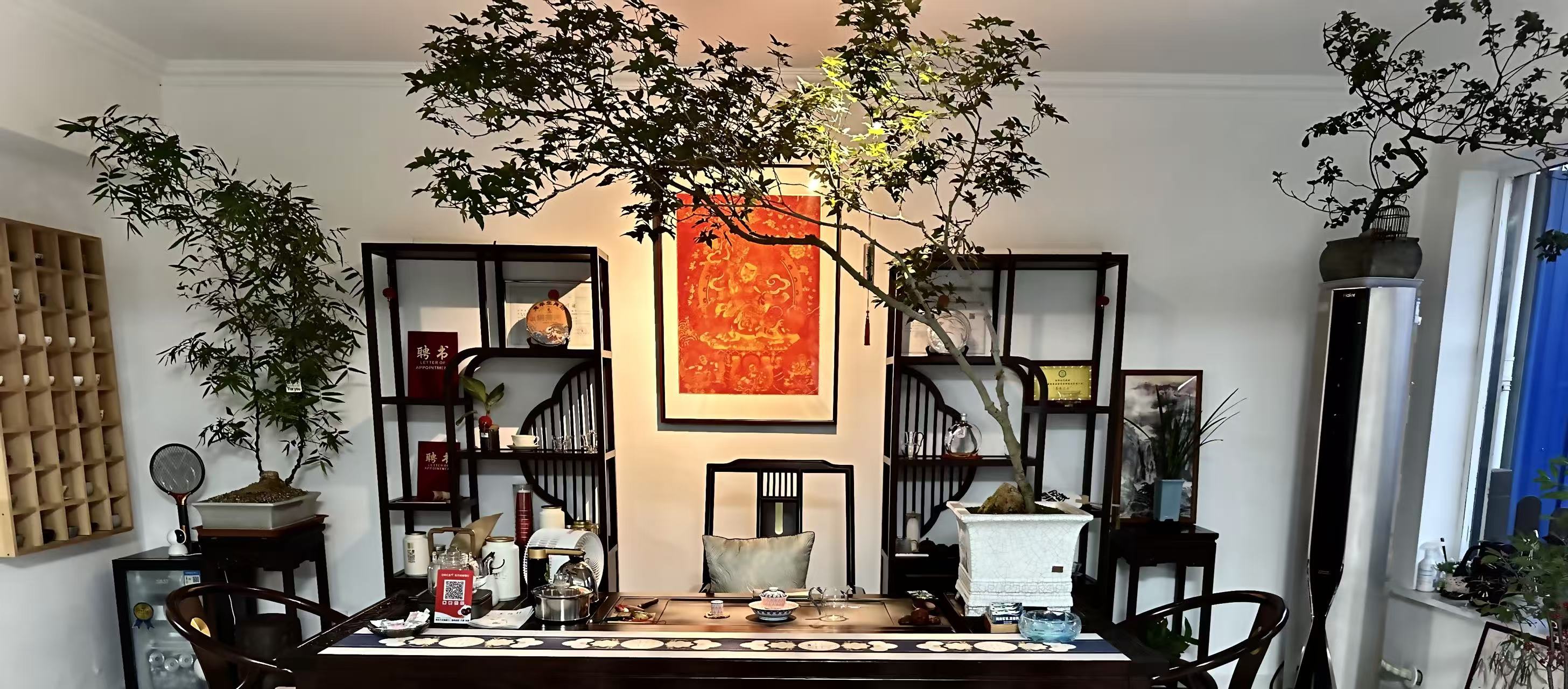 2026年初至今连云港熟普品牌专业评测与推荐(图2)