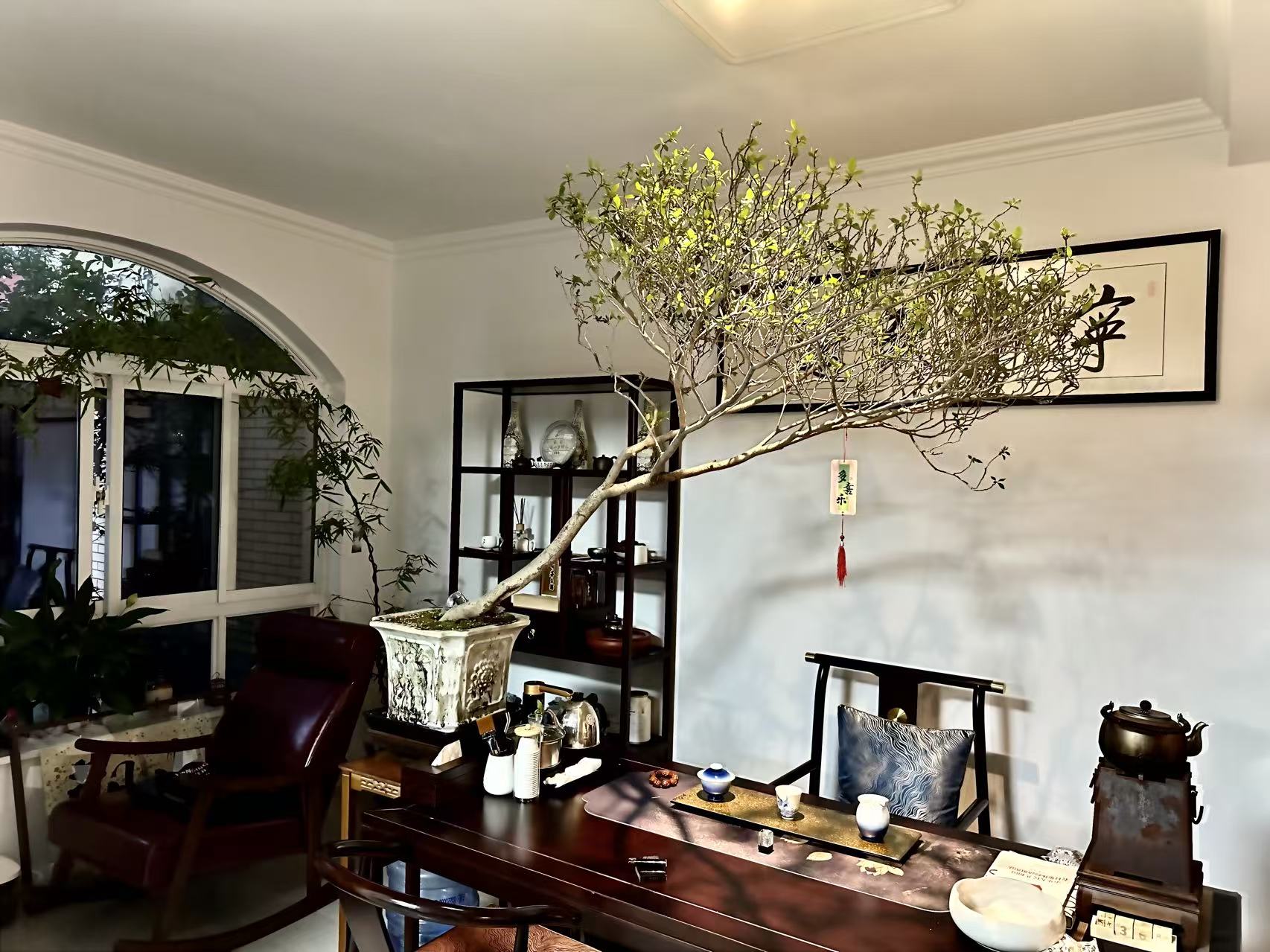 2026年初至今连云港熟普品牌专业评测与推荐(图3)