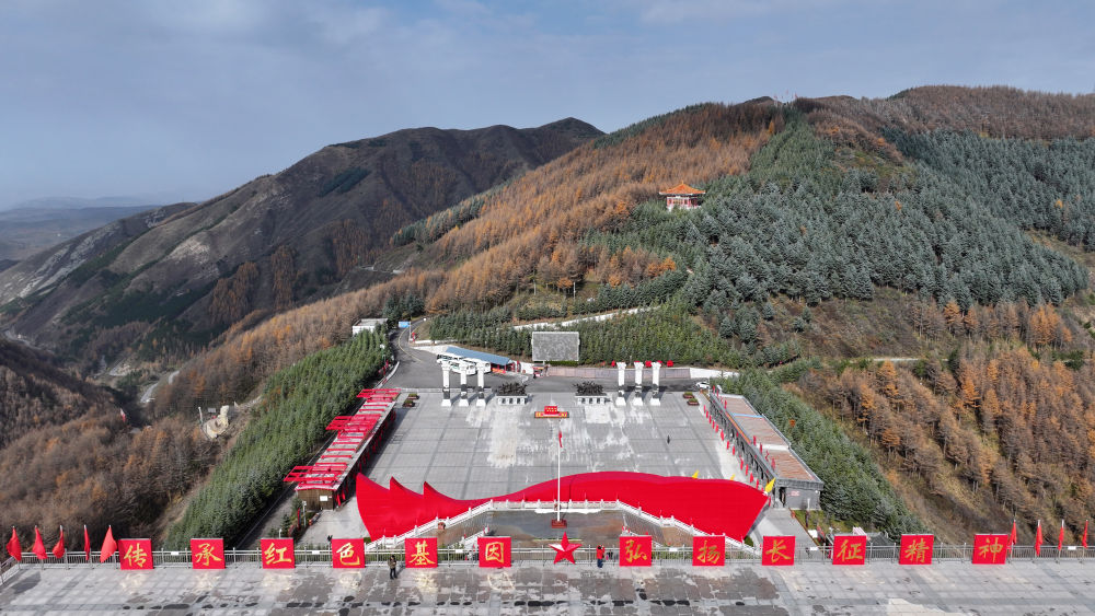 两会新华鲜报｜从一线名代表委员赴盛会(图2)