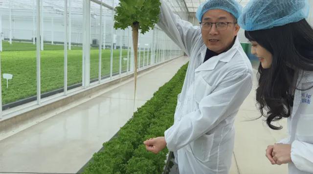 探访全数字化立体育苗植物工厂看一颗生菜是如何生长的!(图5)