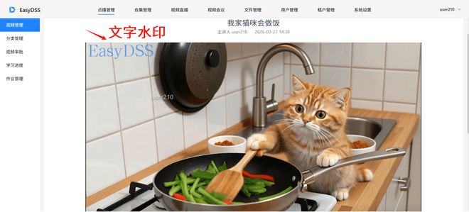 企业级融媒体生产管理平台EasyDSS一体化平台赋能行业数字化(图2)