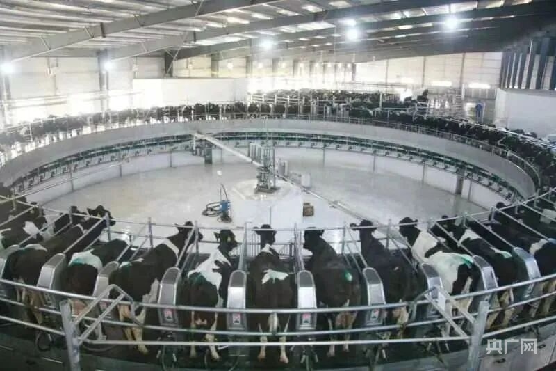 高质量发展看中国｜畜牧大县冲刺百亿级产业“牛劲儿”十足(图4)