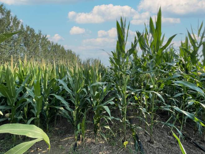 寻找济南高新区三十五周年印记(图46)